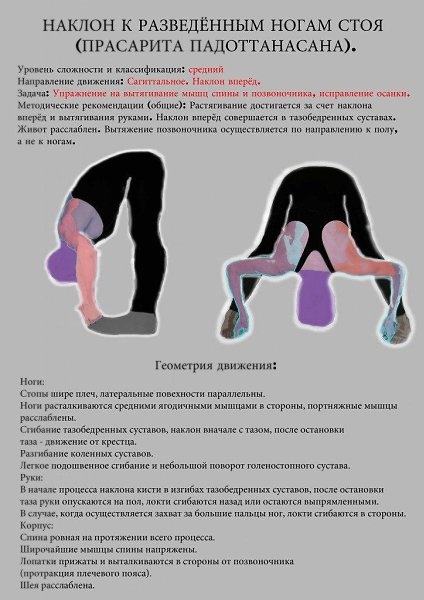 Комплекс асан с подробным описанием. Забирайте себе, чтобы не потерять! - 9