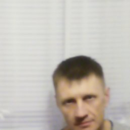 �������, �������, 51 ���