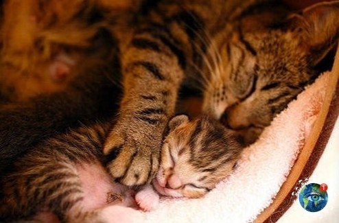 ыхoдим из фeвpaльcкoй cпячки и вcтpeчaeм вecну).планета - 5