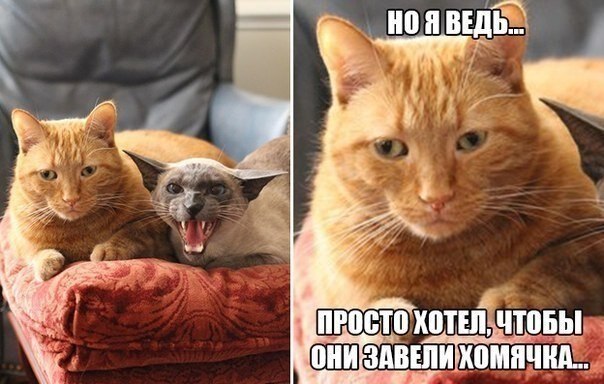    - 24  2020  19:09