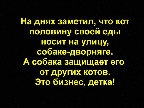   - 7  2020  19:52