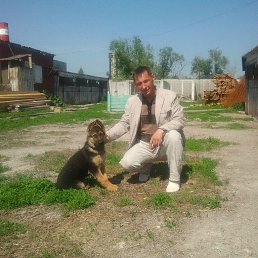 Vik, �����, 43 ����