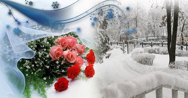 ОМСК! НАТАШЕНЬКА! Милая, дорогая женщина! В этот прекрасный день от всей души поздравляю тебя. Пусть ...