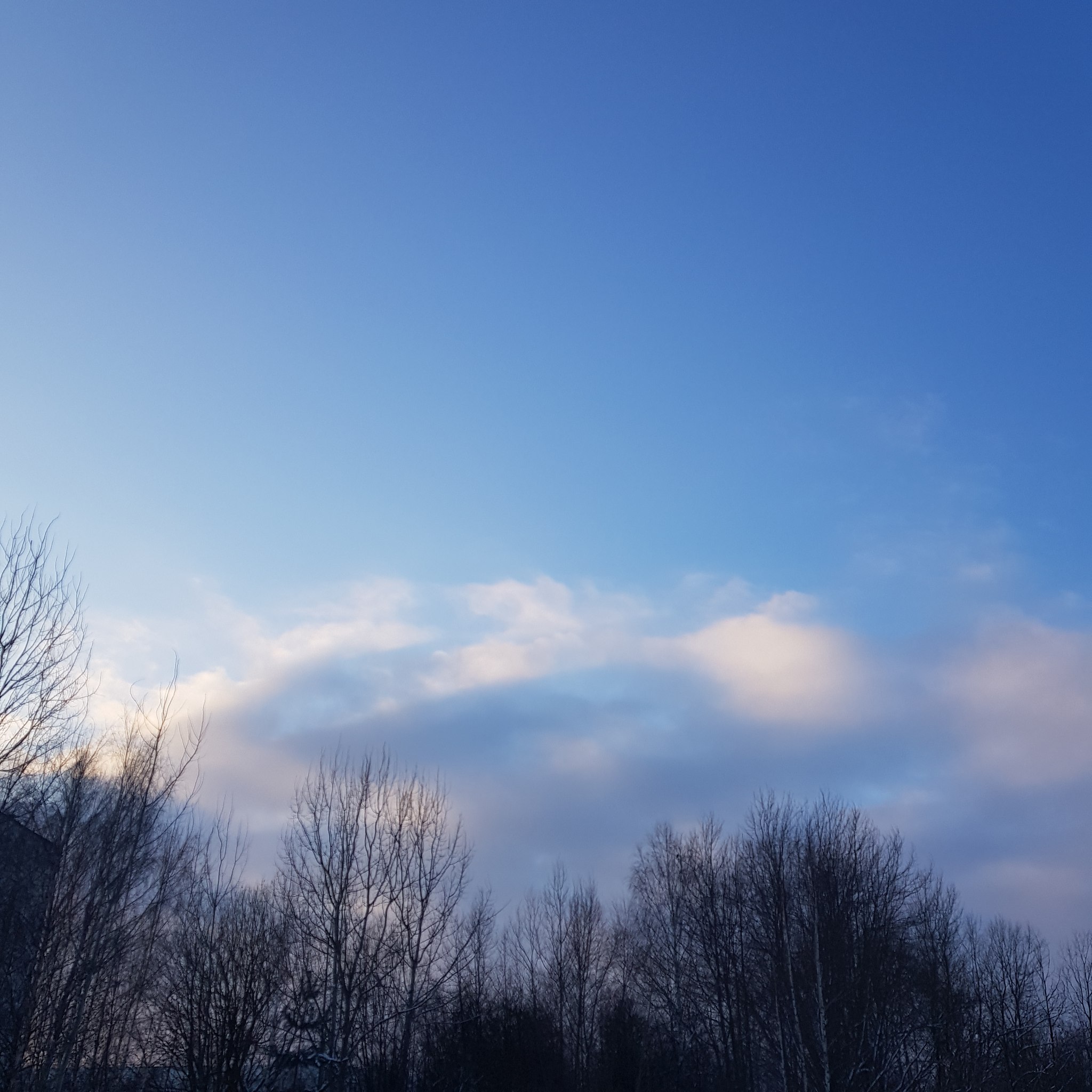 Eili - 18  2021  11:54