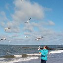 ���� ���������, ����������� - ��������� 16 ������ 2020