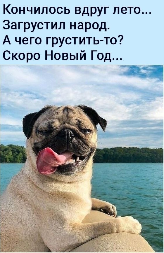 Не грусти а то. Кот осень арт. Не грусти а то не. Осенний котик в шарфе. Рыжий кот.