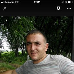 �����, ������, 41 ���