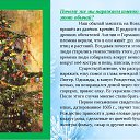���� ���������, ��������� - ��������� 19 ������� 2020 � ������ ������ ��������