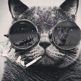 ������, ������, 36 ���