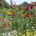  ,  -  23  2020    