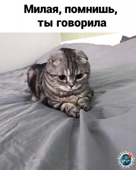 Koa a   o e pa. anim aea