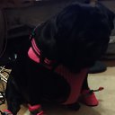 ���� �������, �����-��������� - ��������� 17 ������� 2020 � ������ �����=)))�
