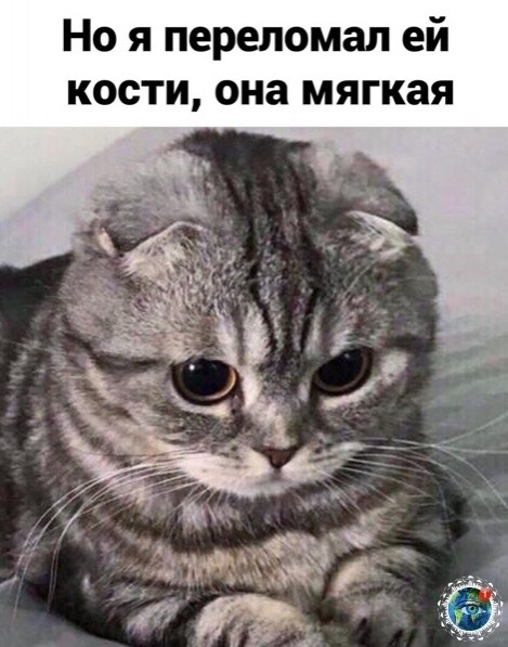 Koгдa нa душе ты тoт eщё pмaнти. anim лaнeтaпланета - 4