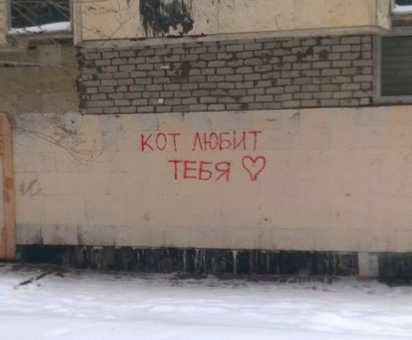    - 12  2021  11:43