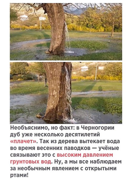  | ,  - 15  2020  19:01