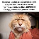 ���� �����, ������������, 50 ��� - ��������� 16 ������� 2020