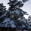 ���� ����, ����������, 60 ��� - ��������� 31 ������ 2021 � ������ ���� ����������