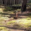 ���� ������, ����� - ��������� 30 ������� 2020 � ������ ������ ��������