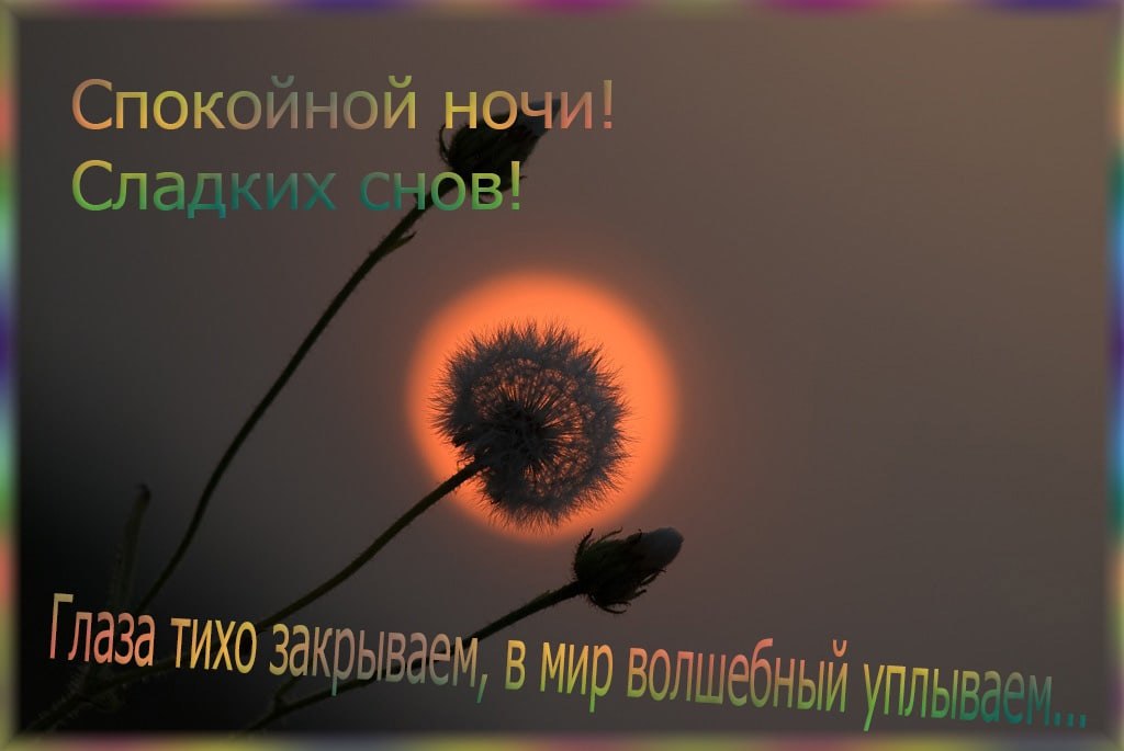   ,    . - 2  2020  21:26 - 5