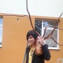 ���� ��������, ������ - ��������� 19 ������� 2020 � ������ ���� ����������