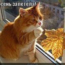 ���� �������, ����� - ��������� 17 ������� 2020 � ������ ���� ����������