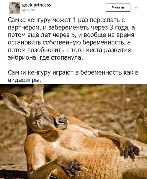   - 5  2020  00:54