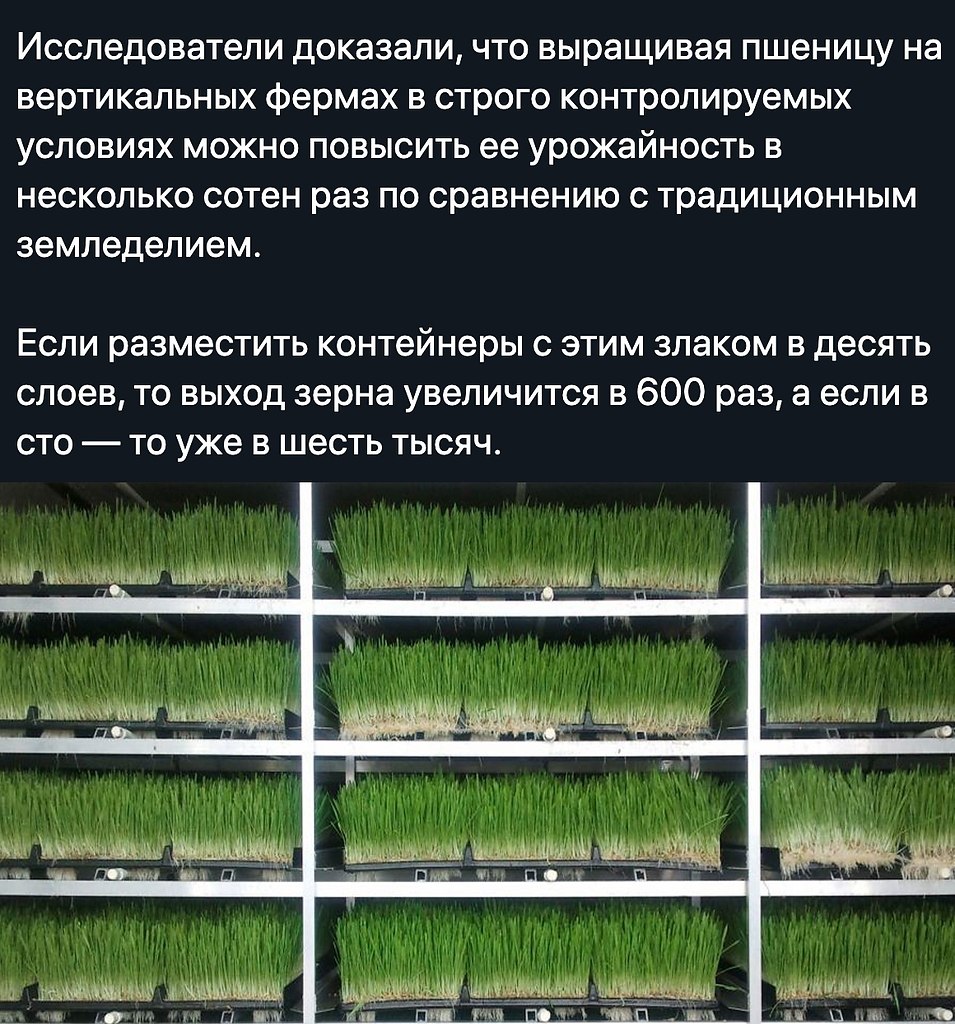   - 10  2020  20:33