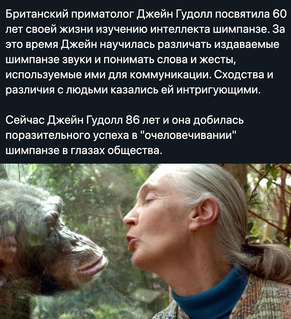 BEST | , ,  - 28  2020  19:07