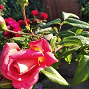  Tatyana, --, 52  -  27  2020