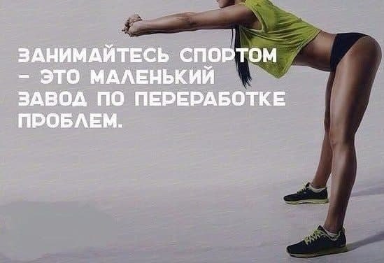         ,   . ...