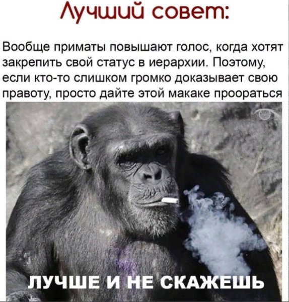  | ,  - 24  2020  19:07