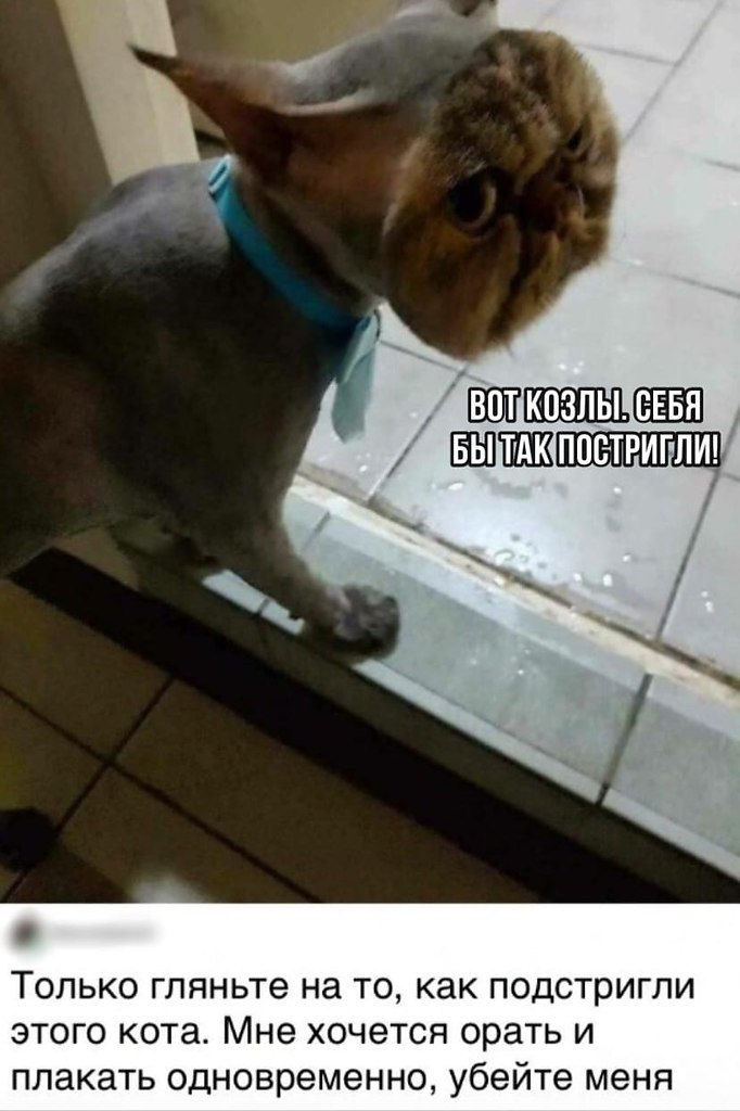  - 18  2020  18:40
