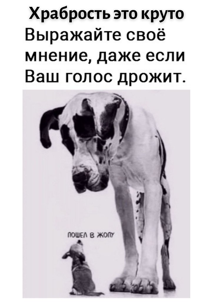 . - 30  2020  18:32