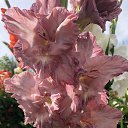 ���� ����, ���������� - ��������� 23 ������� 2020 � ������ ���� ����������