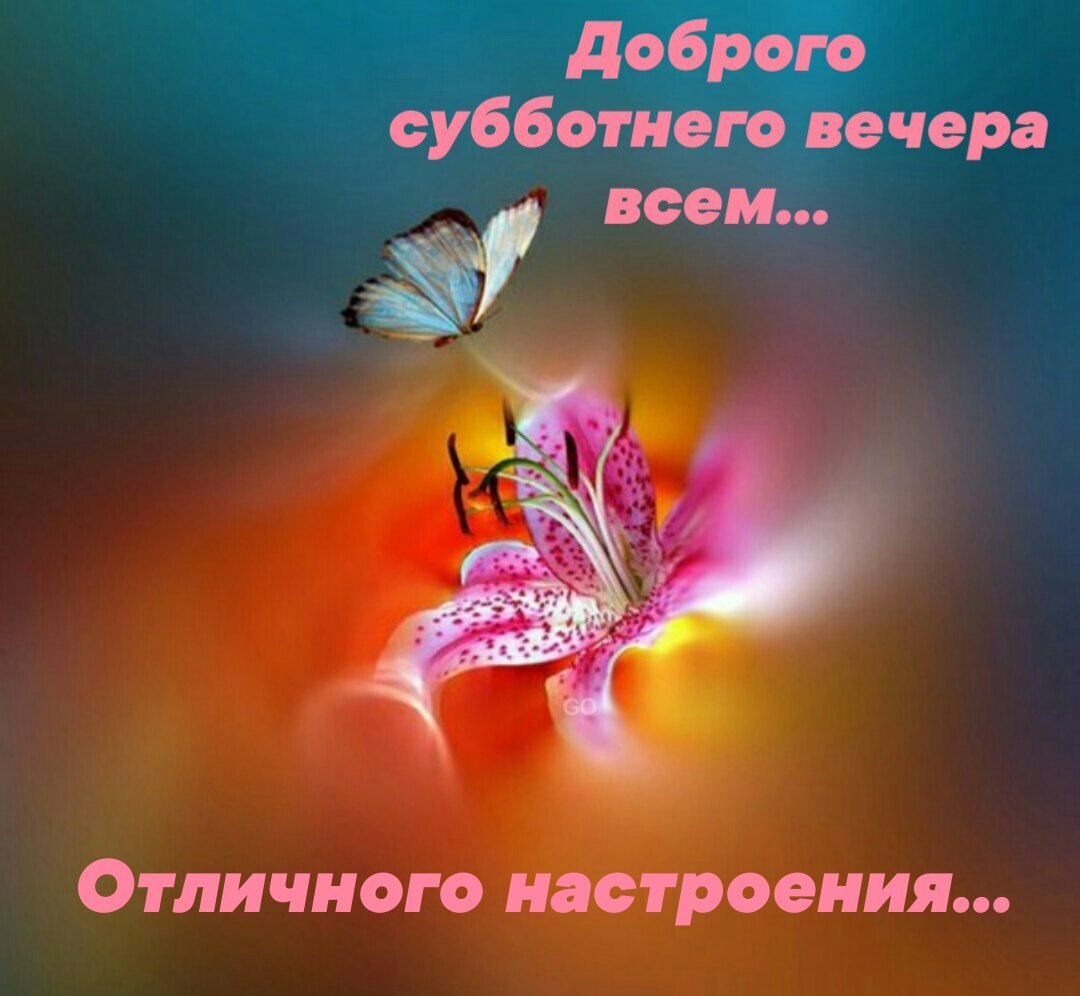   ,    . - 6  2021  18:06