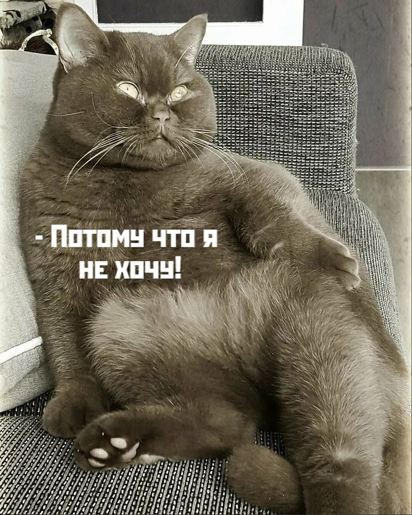       - 9  2021  13:03 - 3