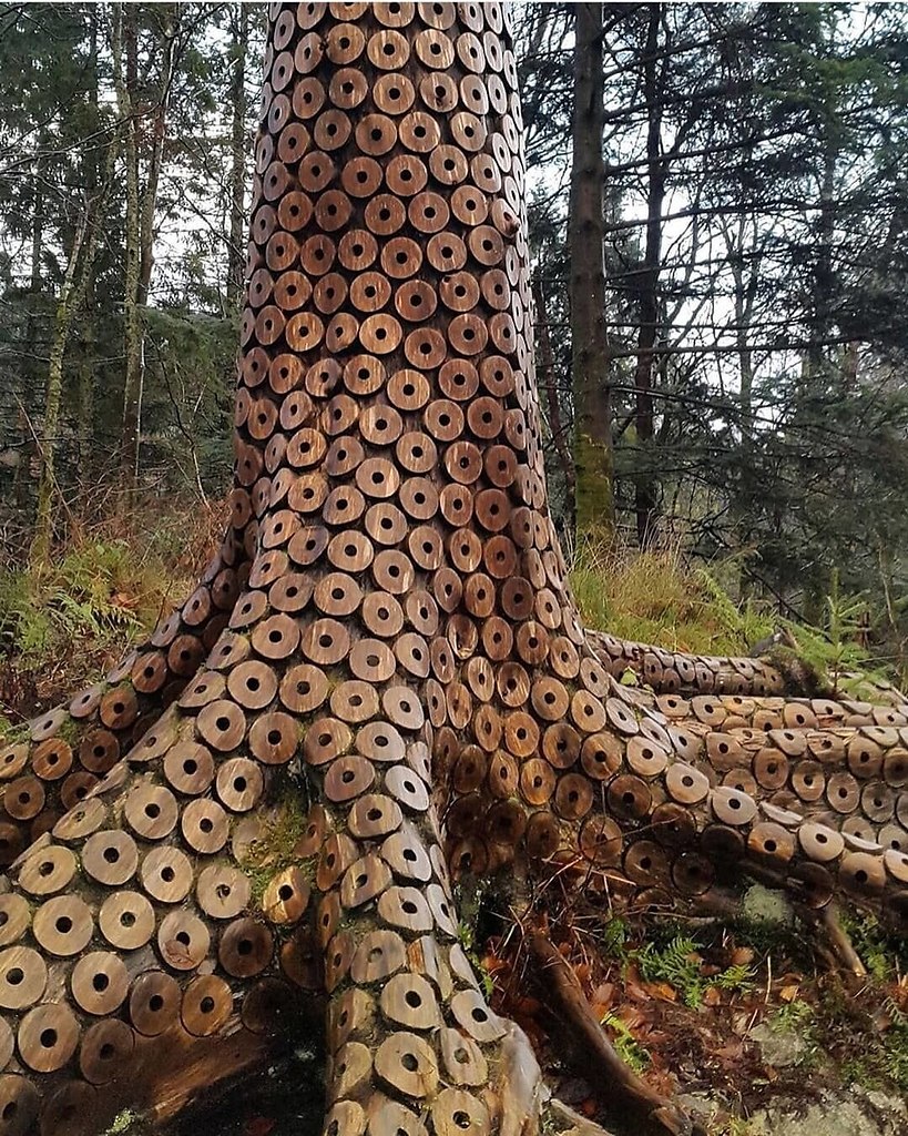   (  