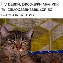 ���� �����, ���������, 41 ��� - ��������� 23 �������� 2020 � ������ ������ ��������