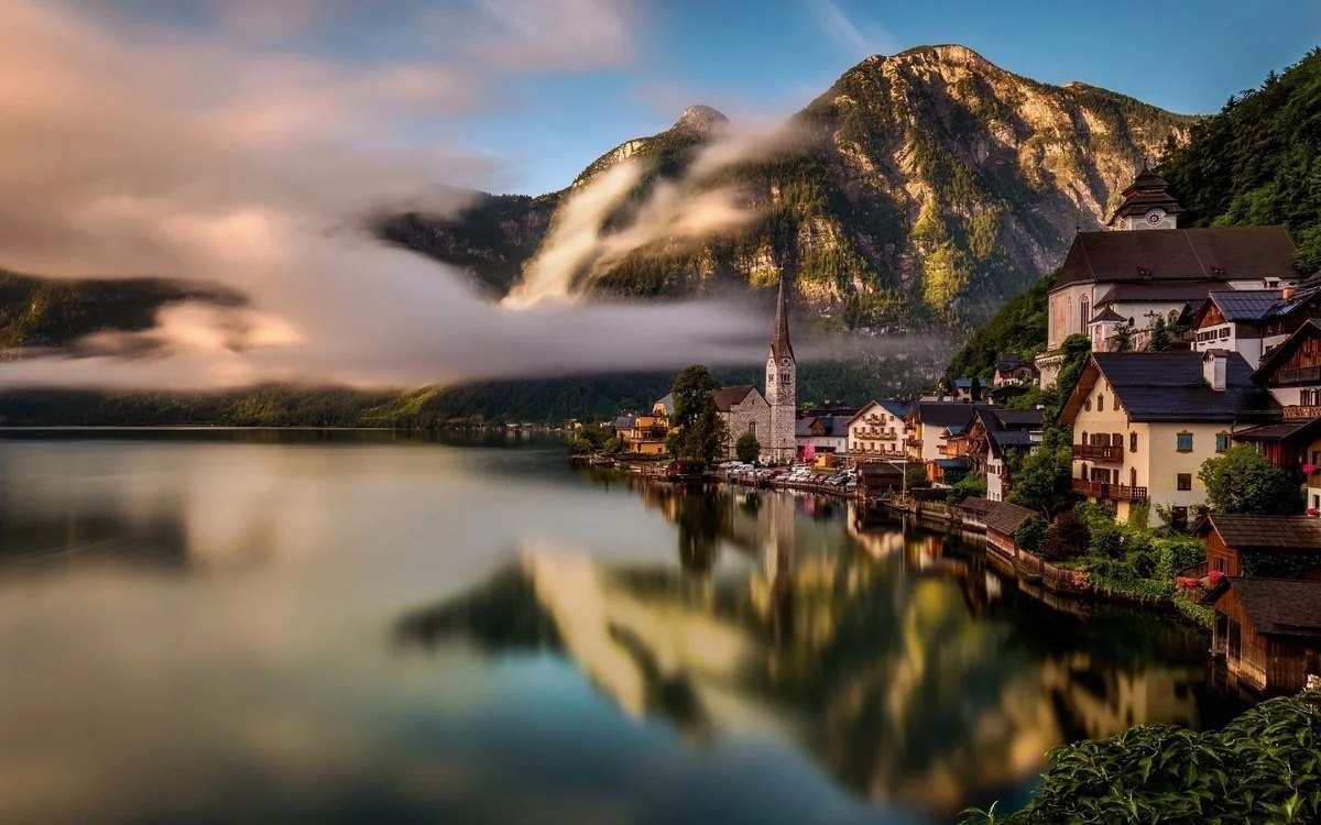  -      ,     50%    ...