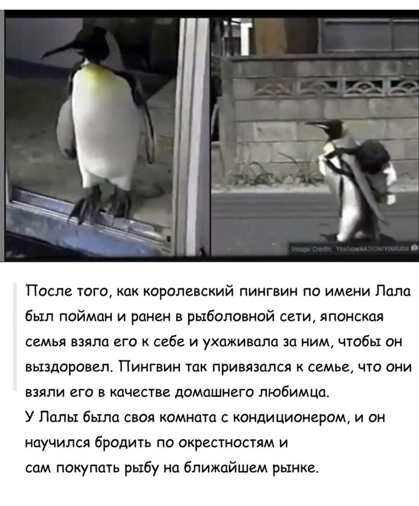  | ,  - 9  2020  21:14
