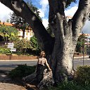 ���� �����, ������ - ��������� 16 ������ 2021 � ������ ���� ����������