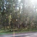  Azat,  -  31  2020    