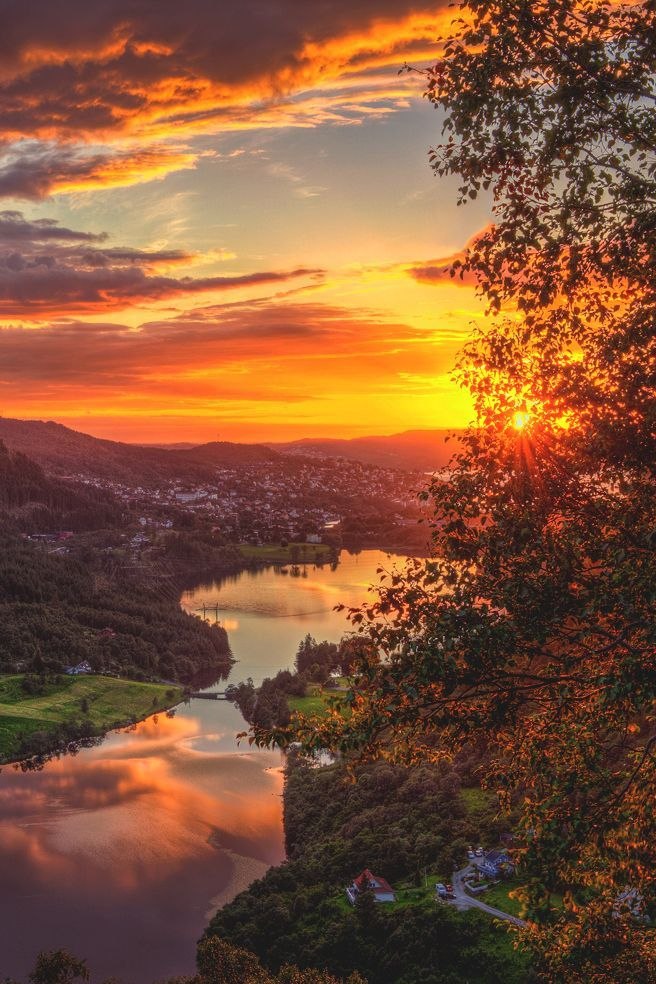 .        .  -   ,    ...