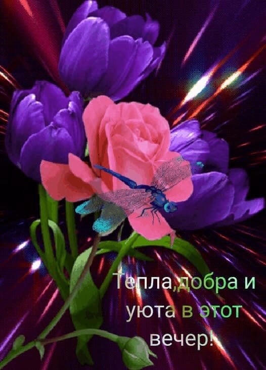   ,    . - 6  2021  18:06 - 3