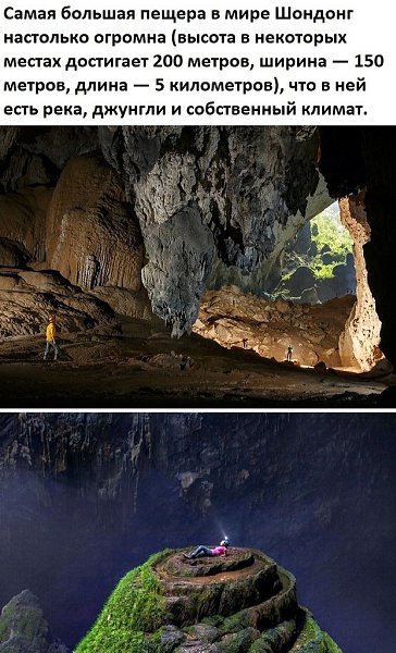 LIFE - ������� - 13 ������ 2020 � 19:14