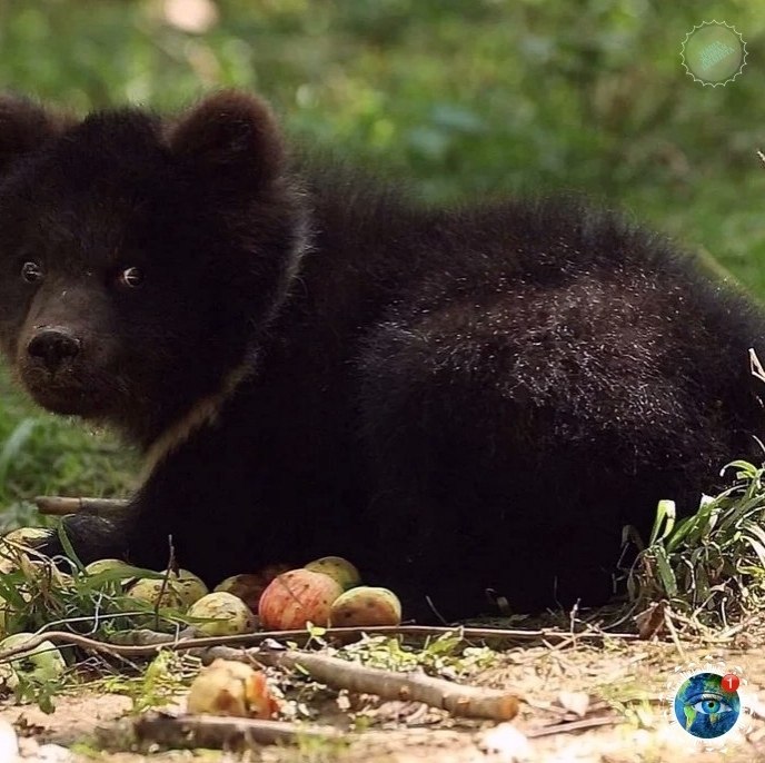 a aa a poa o  a aa p c c p aa  p cac ... - 5