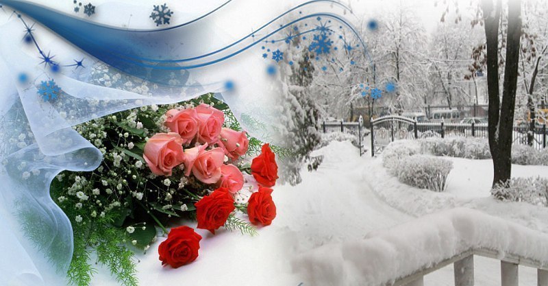 ОМСК! НАТАШЕНЬКА! Милая, дорогая женщина! В этот прекрасный день от всей души поздравляю тебя. Пусть ...