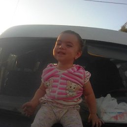 ��������, ������, 38 ���