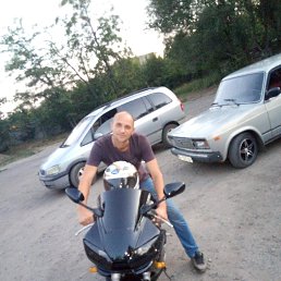 ����, ������, 41 ���