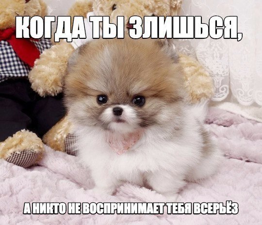 ? ,  ! - 23  2021  14:01